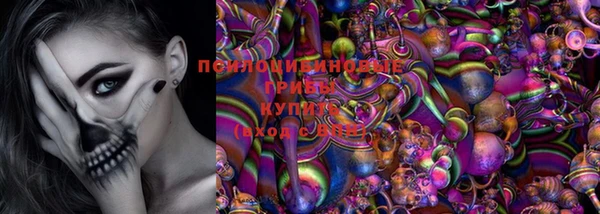 кокс Алексин